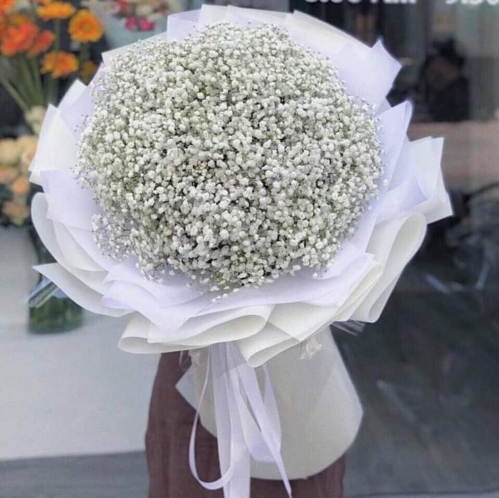 Bó hoa baby trắng